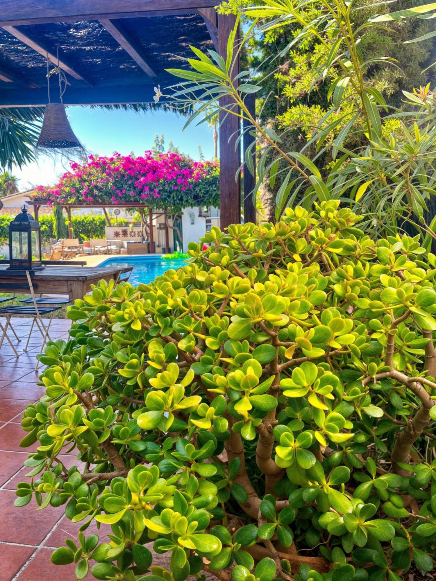 Villa Alfredo - Private Pool Next To The Beach Estepona Exteriér fotografie